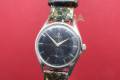 Omega-2791-1-cal266-1954-Black swan