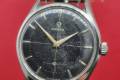 Omega-2791-1-cal266-1954-Black swan