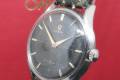 Omega-2791-1-cal266-1954-Black swan