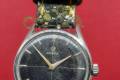 Omega-2791-1-cal266-1954-Black swan