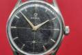 Omega-2791-1-cal266-1954-Black swan