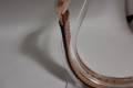Longines-Calatrava-Jumbo-4915-cal27-1953-18k rose gold