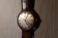 Omega-Geneve-18ct.gold-131.021-cal601-1967